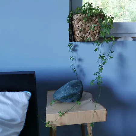 ベッド・アンド・ブレックファスト The Blue -the Barn Salzburg